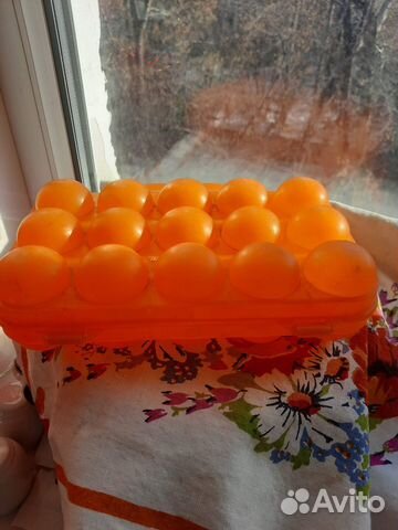 Контейнер для яиц пластиковый СССР советский