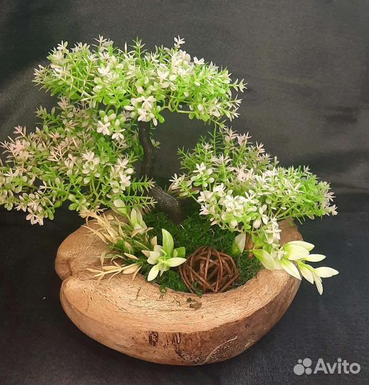 Флорариум банзай