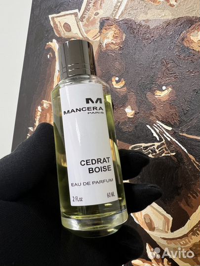 Cedrat Boise Mancera