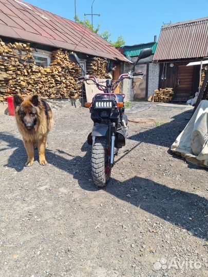 Хонда Зуммер