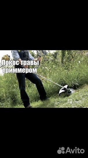 Покос травы триммером