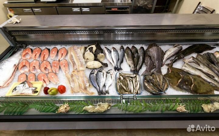 Рыбный магазин – готовый бизнес с базой