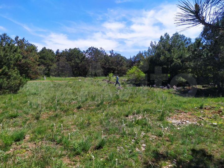 Участок 4 сот. (ИЖС)