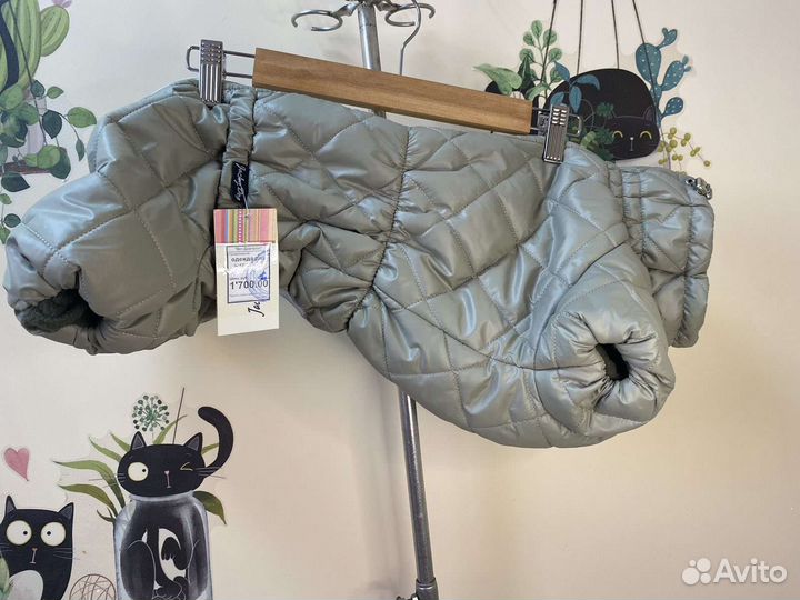 Одежда на таксу и не только