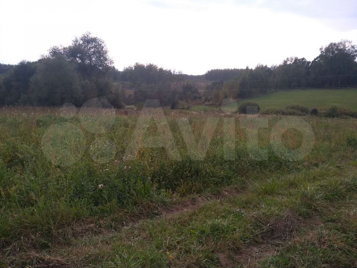 Участок 24 сот. (СНТ, ДНП)