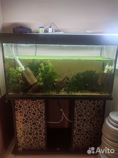 Аквариум с тумбой