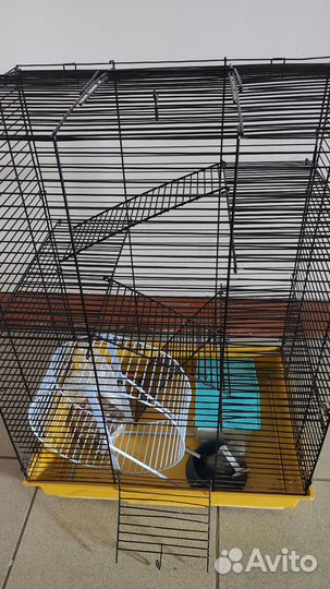 Клетка, колесо, домик, поилка