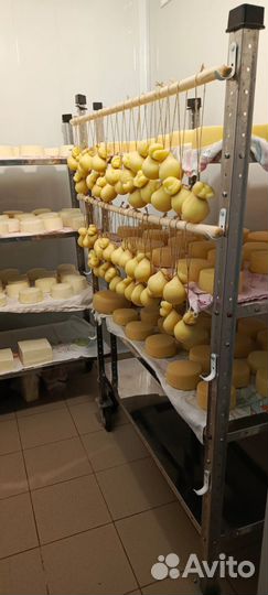 Сыр собственного производства домашний