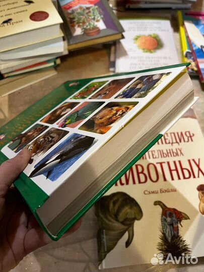 Подарочные книги детям и взрослым, рекорды Гиннесс