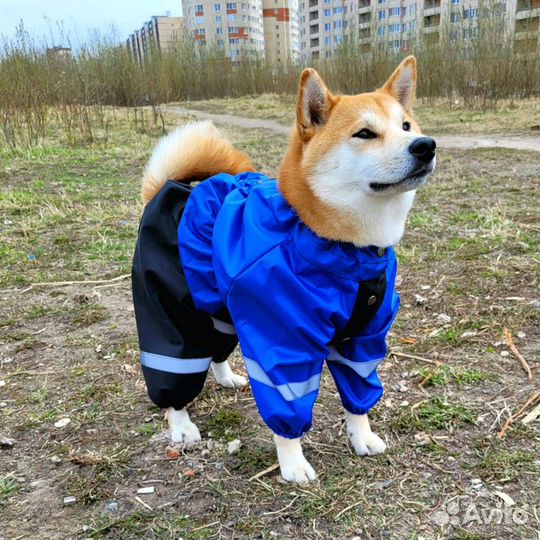 Комбинезоны дождевики для средних / крупных собак