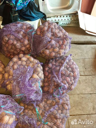 Семенной картофель 4 сорта 9 вёдер