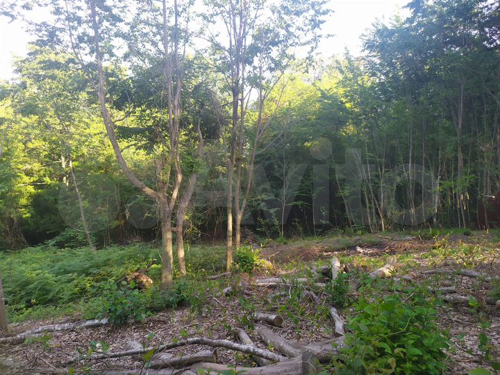 Участок 5 сот. (СНТ, ДНП)