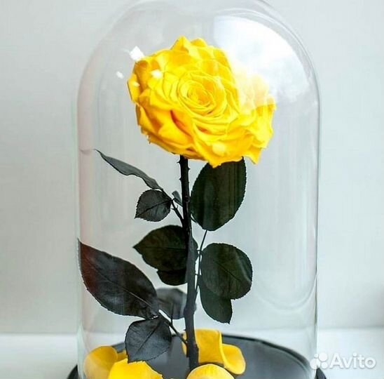 Неувядающая роза в колбе