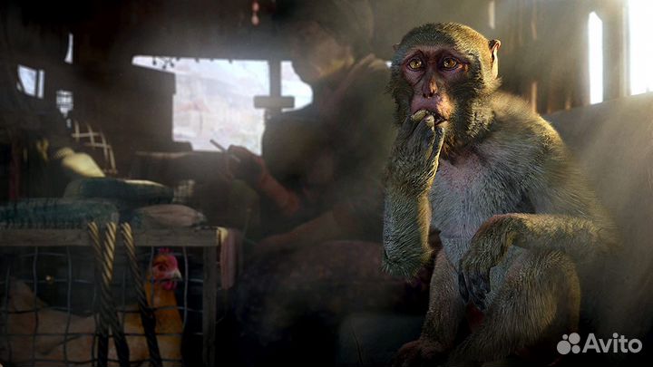 Игры серии Far Cry Xbox One