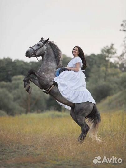 Катание на лошадях, занятия, фотосессии, выезды