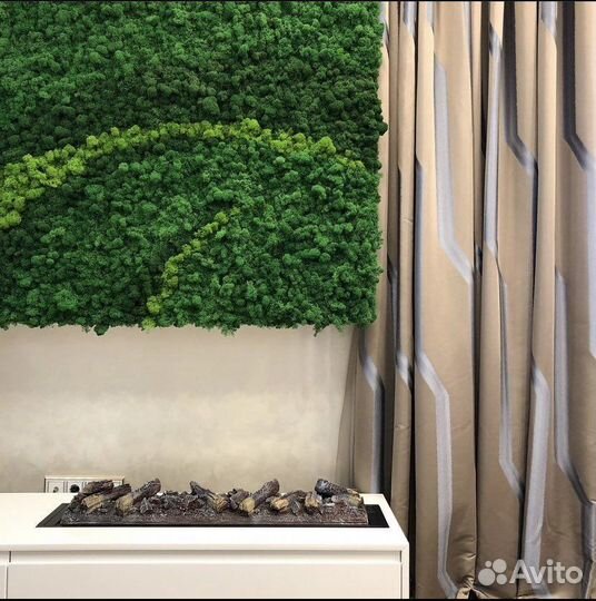 Стабилизированный мох