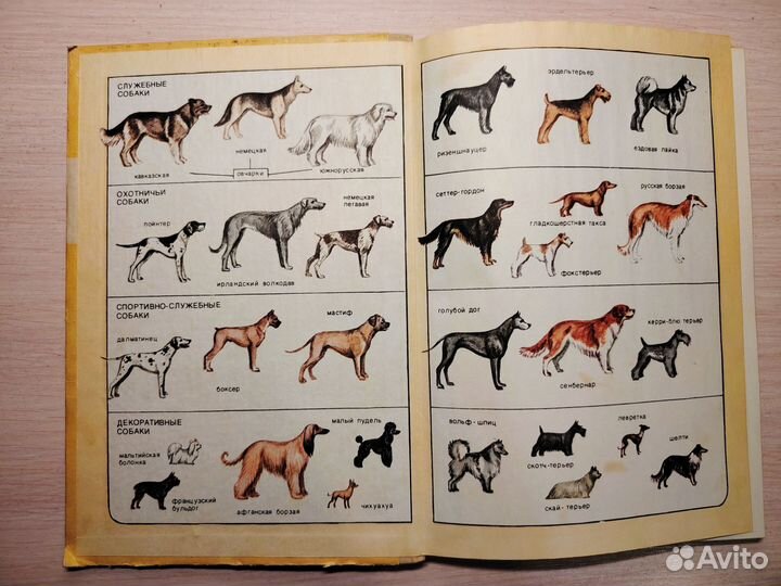 Воспитай себе друга.Про воспитание собаки