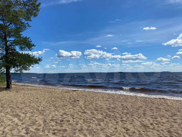 Дом 54 м² на участке 28 сот.