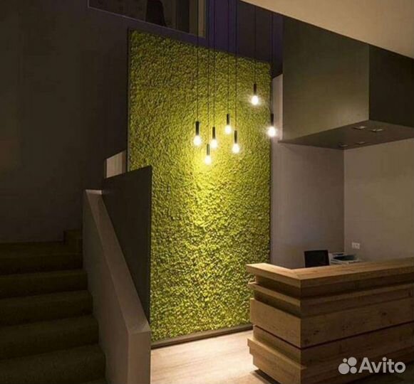 Стабилизированный мох для панно