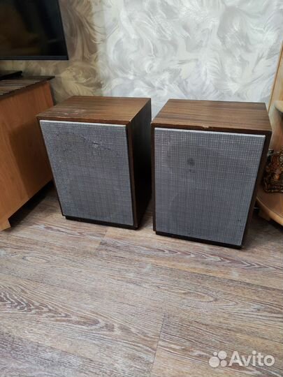 Активные колонки 25аса-II