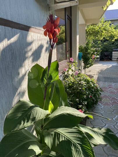 Комната 20 м², 2/4 эт.