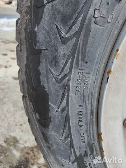 Зимняя рези Нокиан Хакапелита 7на дисках штамповка