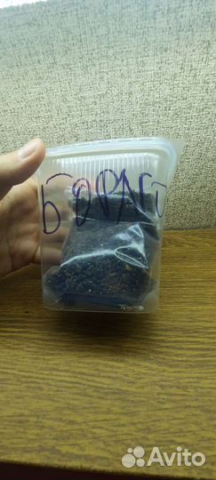 Семена для микрозелени