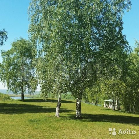 Продам или сдам кафе