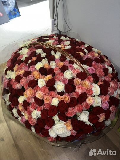 Букет из 501 розы