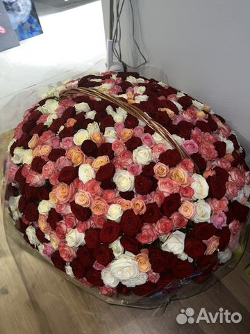 Букет из 501 розы