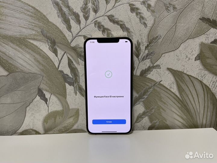 iPhone 12 Pro Max, 256 ГБ