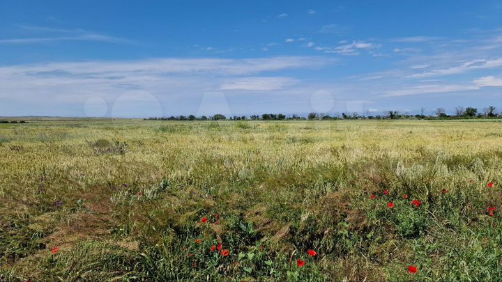 Участок 1,87 га (СНТ, ДНП)