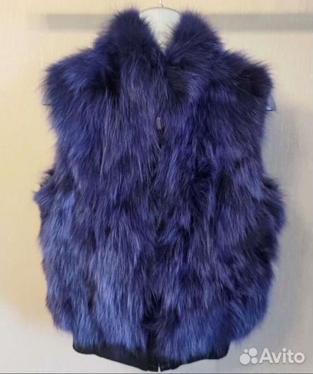 Синий жилет, песец