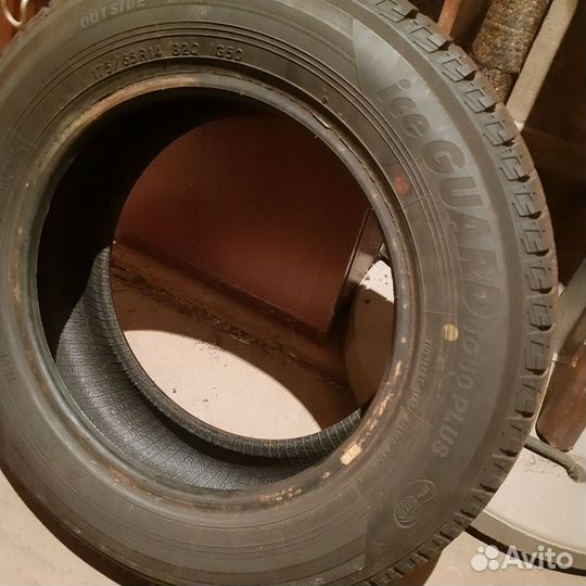 Yokohama Ice Guard IG50+ 175/65 R14