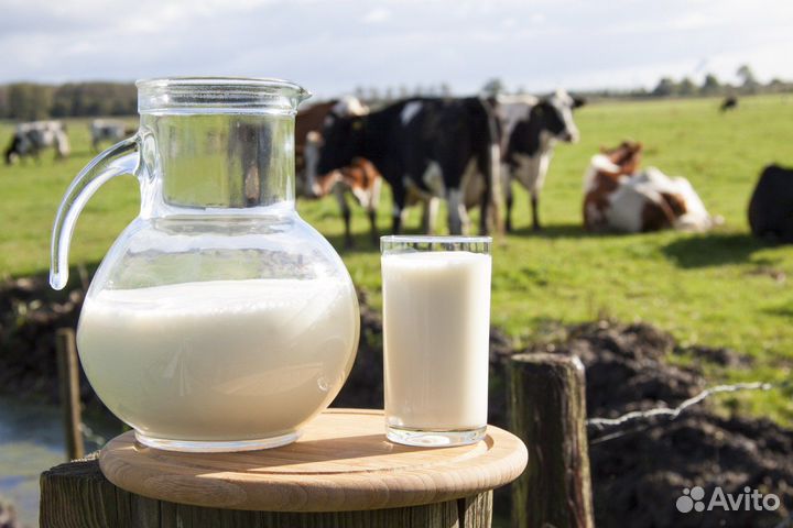 Молоко коровье домашнее