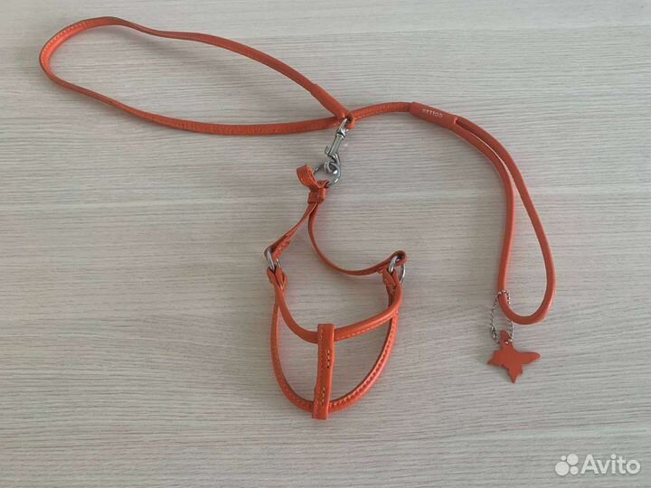 Шлейка для кошки или собаки Collar Glamour