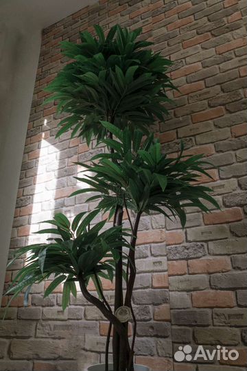 Искусственное дерево Манго