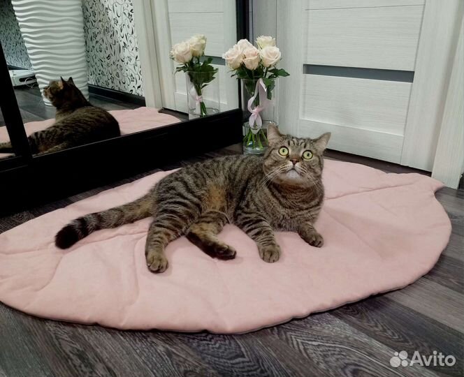 Лежанка для кошек и собак новая листик