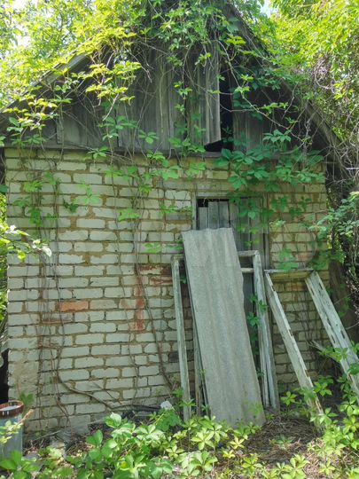 Дача 40 м² на участке 12 сот.