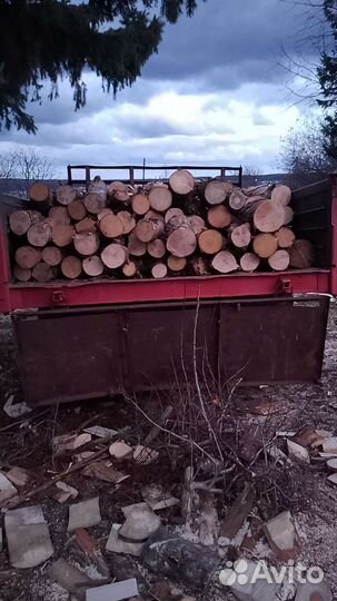 Дрова Сосна Чурками