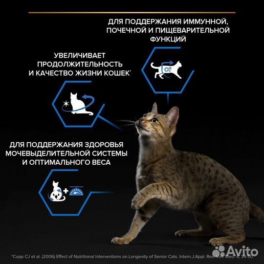 Сухой корм для кошек проплан