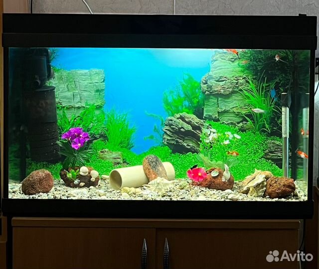 Аквариум полный комплект с рыбками