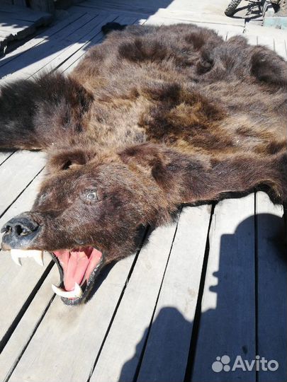 Шкура медведя искусственная ковер