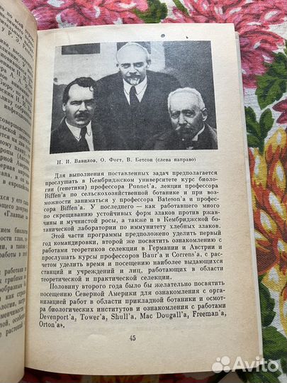 Николай Иванович Вавилов 1988 Ф.Бахтеев