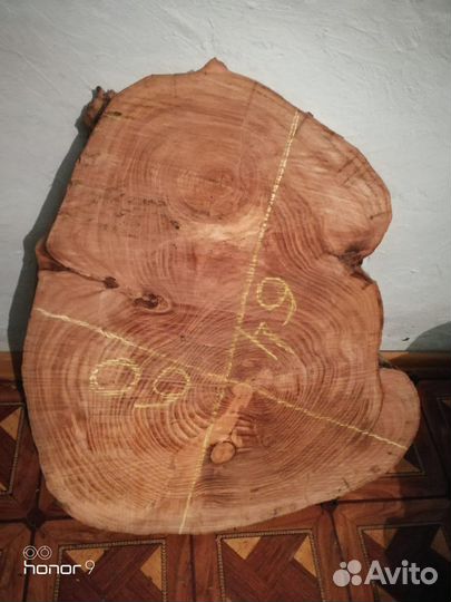 Торцевые спилы вяза