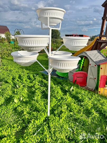 Петуньевое дерево