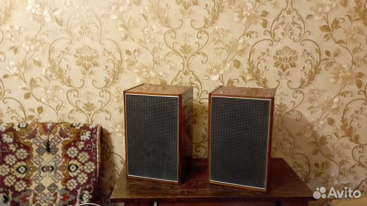 Акустические колонки 10мас-1М