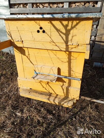 Ульи для пчел