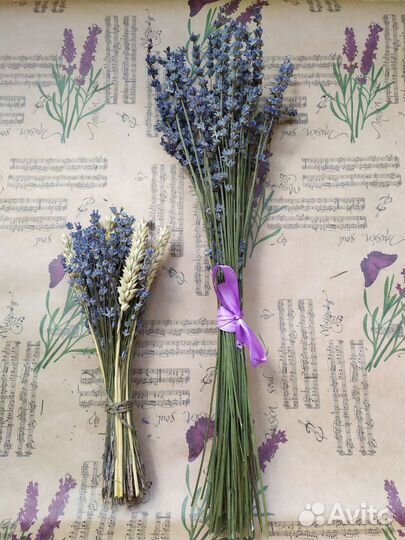Букет цветов лавандин, лаванда
