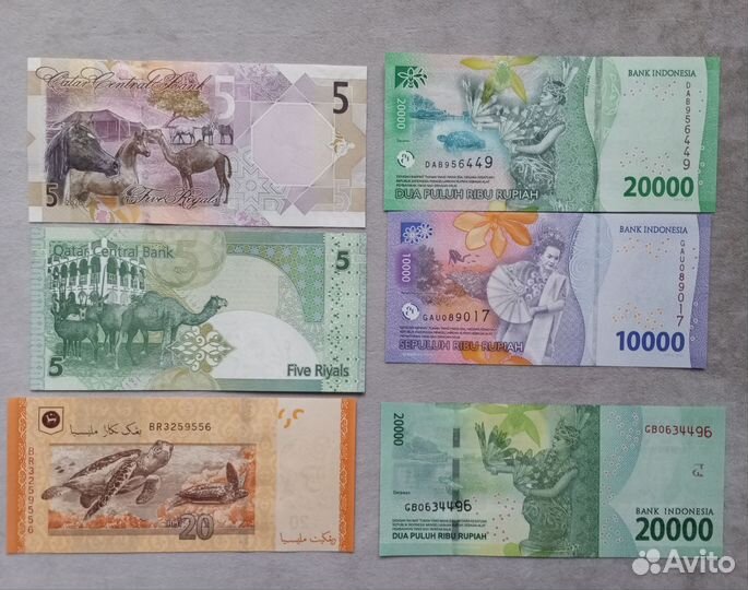 Фауна на бонах Азии